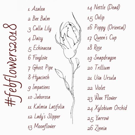 Flower Prompts, Oc Profile, February Days, February Flowers, February Flower, Draw Challenge, Blank Drawing, Bouquet Drawing, Sketchbook Prompts