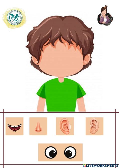 Live Worksheet, Face Parts, Body Parts Preschool, Art Activities For Toddlers, Kids Worksheets Preschool, English Worksheets For Kids, Preschool Age, Shapes Activities, Aktivitas Montessori