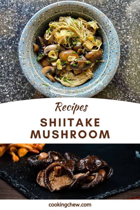 Holy shiitake! Do you have Shitake Mushrooms in your pantry? Maybe it’s time to give these 19 insanely good shiitake mushroom recipes a try! We have an epic list here for you that will satisfy your cravings ASAP. Shitake Mushroom Recipes Dinners, Fresh Shitake Mushroom Recipes, Chicken And Shitake Mushroom Recipes, Recipes With Shitake Mushrooms, White Beech Mushrooms Recipes, Dried Shiitake Mushroom Recipes, Dried Shitake Mushroom Recipes, Shitake Mushroom Recipes, Dry Mushroom Recipes