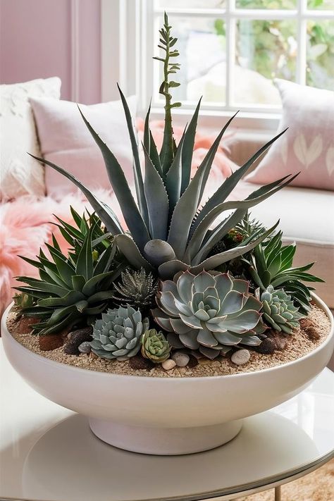 Large succulent terrarium with Agave and Aeonium, featuring a wide, shallow container and dramatic foliage. Indoor Succulent Arrangements, Succulent And Flower Arrangements, Cactus Succulent Arrangement, Large Succulent Arrangements, Succulent Arrangements Indoor, Succulent Container Ideas, Office Succulents, Succulent Terrarium Ideas, Succulent Dish Garden