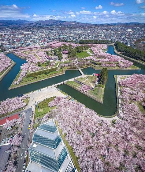 Cherry blossom 🌸 at the Goryokaku Park in Hakodate 

Goryokaku Park is a historical site in Hakodate, Hokkaido, known for its unique star-shaped fortress, which dates back to the 19th century. It’s a popular destination for cherry blossom viewing in spring and offers stunning views year-round. The park also features museums, walking paths, and a tower for panoramic vistas of the surrounding area.

📍 Goryokaku Park, Hakodate, Hokkaido prefecture
📷  IG: traveler_sui Hakodate Japan, Hakodate, Walking Paths, Insta Inspo, Photo Reference, Stunning View, Japan Travel, Historical Sites, Star Shape