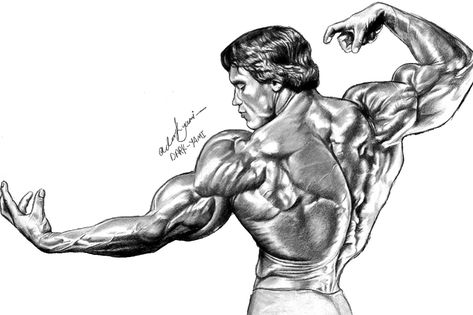 Arnold Schwarzenegger Drawing, Body Builder Drawing, Arnold Drawing, Body Builder Pose, Bodybuilding Drawing, Arnold Bodybuilding, Gym Images, Captain America Wallpaper, Pen Art Work