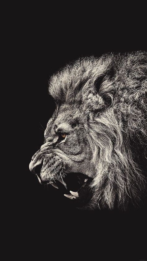 (3) 50 Phone Wallpapers (All 1080x1920, No watermarks) - Album on Imgur Lion Wallpaper Iphone, Tiger Sketch, Black And White Lion, Petit Tattoo, Lion Wallpaper, Male Lion, Church Stage, Scratch Art, Hd Wallpaper Iphone