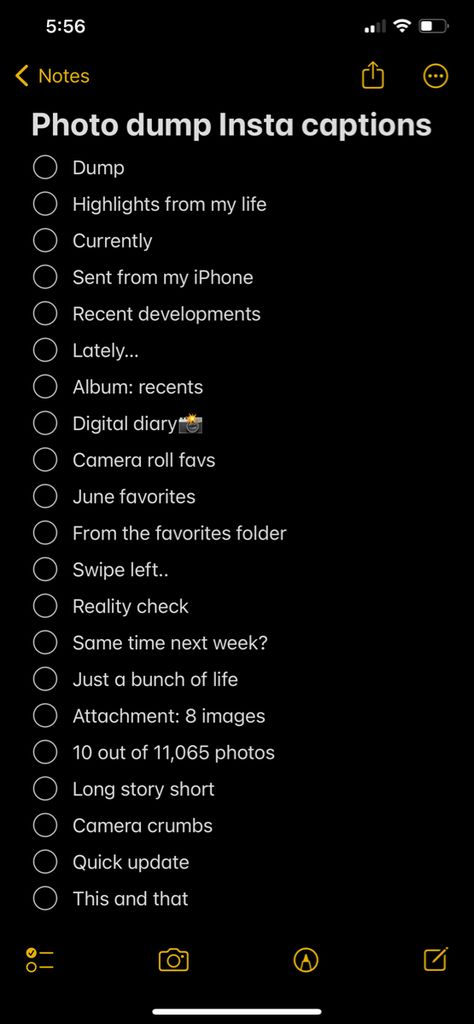 Captions For Digital Camera Photos, Album Recent Caption, Comments For Brother Pic On Instagram, Digital Camera Instagram Captions, Digital Camera Captions Instagram, Digital Camera Caption, Dream List Ideas, Camera Crumbs Caption, June Dump Captions