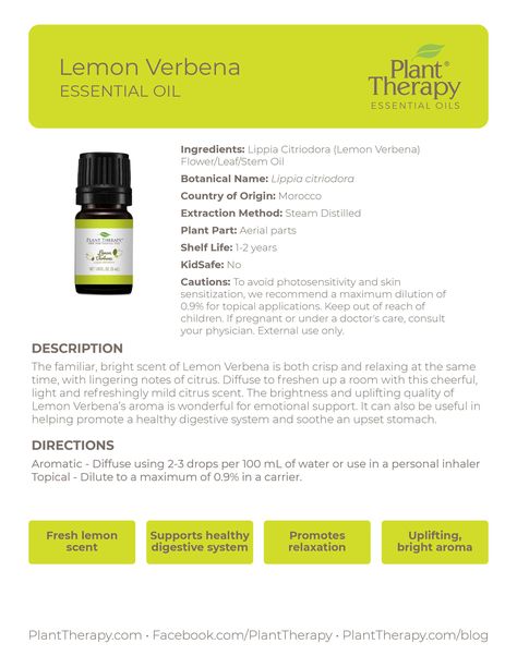 September Oil of the Month Reveal: Lemon Verbena - Naturally Blended Lemon Verbena Plant, Lemon Verbena Essential Oil, Essential Oils Hair, Are Essential Oils Safe, Essential Oil Plants, Plant Therapy, Lemon Verbena, Parts Of A Plant, Citrus Scent