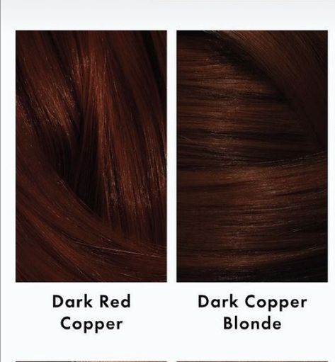 Dark Copper Hair Color Brown, Hair Color Ideas For Brunettes For Fall Copper Dark Brown, Copper Chocolate Brown Hair, Dark Red Copper Hair Color, Deep Copper Hair Color Dark Auburn, Short Dark Copper Hair, Dark Brown And Copper Hair, Copper Peekaboo Hair, Dark Copper Blonde Hair