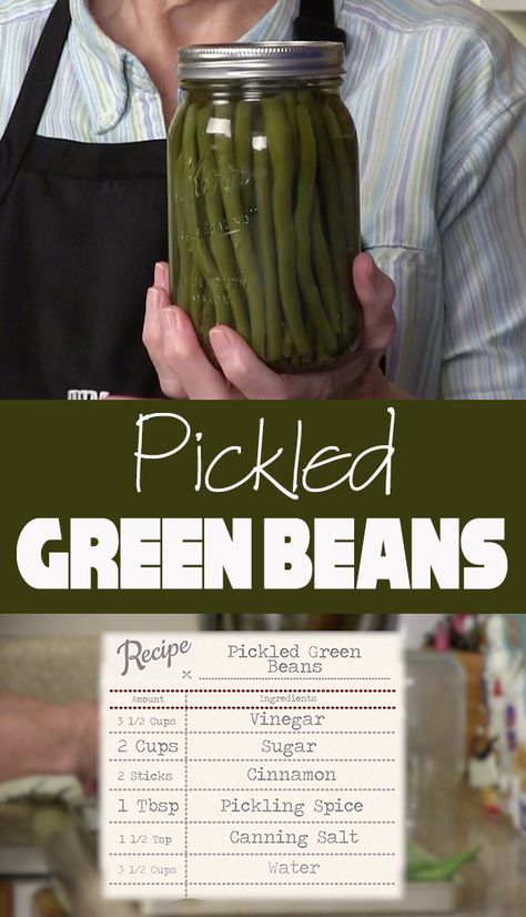 A tasty old fashioned snack of Pickled Green Beans! Canned Dilly Beans Recipe, Spicy Dilly Beans Canning, Pickled Beans Recipe Easy, Refrigerator Canning, Spicy Dilly Beans, Dilly Beans Recipe, Spicy Pickled Green Beans, Pickling Veggies, Foodiecrush Recipes