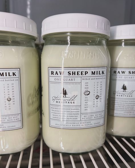 Our delicious creamy raw sheep milk is now available at @home.steadproduce Fun facts about sheep milk 🐑 🥛 Sheep milk is a super food! Sheep’s milk is nutrient rich! Not only does it come with a whole list of health benefits, it also contains nearly 2x the protein, vitamins, and calcium than other milks! Sheep milk is easier on the tummy! Sheep’s milk is naturally homogenized, with small-sized fat globules that are easier for your body to digest, not lactose free but close to it. Sheep... Milking Sheep, Facts About Sheep, Sheep Milk, Best Milkshakes, Milk Benefits, Super Food, Milkshakes, Lactose Free, Superfoods