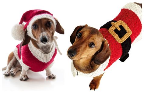 Christmas Dog Hat, Christmas Dog Outfits, Dog Sweater Pattern, Crochet Dog Sweater, Santa Dog, Knit Dog Sweater, Dog Jumpers, Free Knitting Patterns, Dog Coat