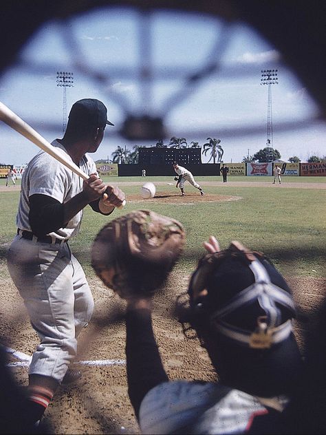 John G. Zimmerman for SI Baseball Tips, Baseball Photography, Baseball Pictures, Baseball Photos, Baseball Baby, Sf Giants, Spring Training, Man Up, Photo Blog