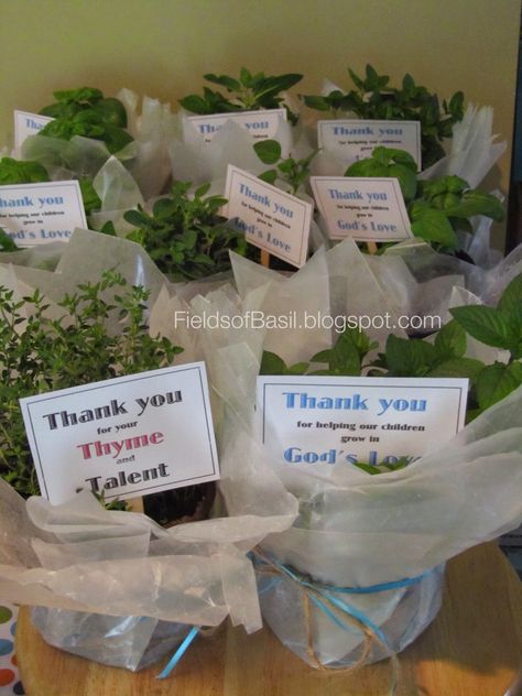 Fields of Basil: Sunday School Teacher Gifts-Free Printable Bible Class Teacher Appreciation Gifts, Catechist Appreciation Gifts, Primary Teacher Gifts, Church Volunteer Appreciation Gifts, Sunday School Teacher Appreciation, Ministry Appreciation, Christian Teacher Gifts, Sunday School Teacher Gifts, Volunteer Appreciation Gifts