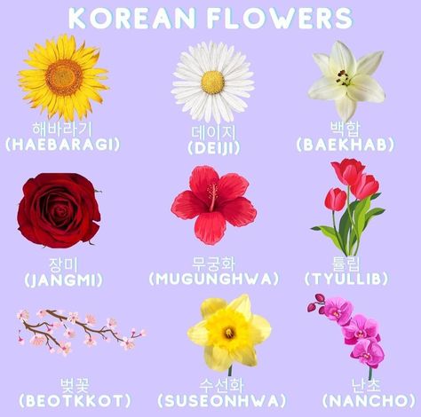 Learn flower names on Korean! Follow @maeil.korean.class on Instagram for more! Korean Last Names, Names In Korean, Korean Baby Names, Beautiful Flower Names, Korean Girls Names, Flower Poem, Korean Vocabulary, Nature Names, South Korea Seoul