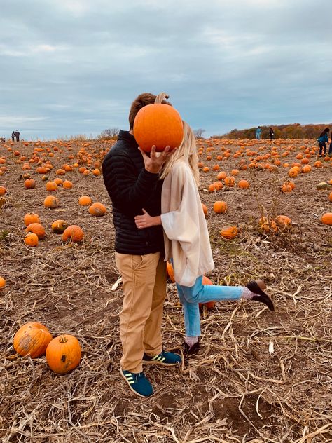 Pumpkin Patch Photo Shoot, Pumpkin Fall, Pumpkin Patch, Photo Shoot, Corn