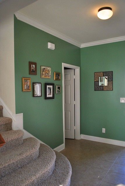 Green Foyer, Hall Colour Ideas, Colour Combination For Hall, Wall Paint Colour Combination, Living Room Indian, Summer Basket, Hall Colour, Room Color Combination, Wall Color Combination