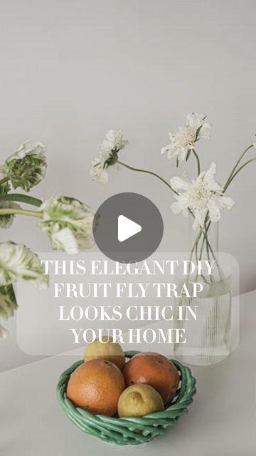 Madame Sweat on Instagram: "This elegant #diy #fruitfly trap looks chic in your home #fruitflytrap" Best Fruit Fly Trap, Fruit Fly Trap Diy, Fruit Fly Trap, Fruit Flies, Fly Traps, Household Tips, Looks Chic, Household Hacks, Fruit