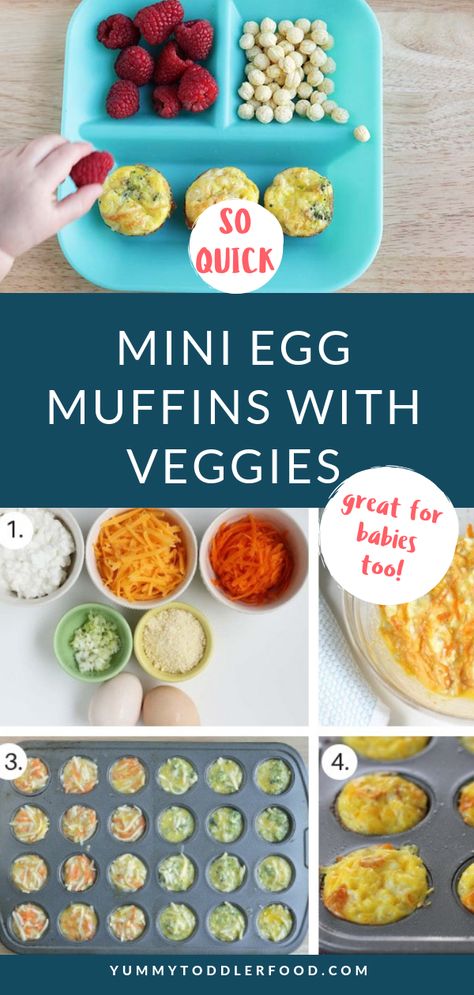 Make-Ahead Egg and Cheese Mini Muffins for a healthy toddler breakfast #toddlerbreakfast #eggmuffins #eggcups Mini Egg Muffins, Healthy Toddler Breakfast, Healthy Finger Foods, Parent Advice, Toddler Breakfast, Mini Quiches, Toddler Lunches, Egg And Cheese, Baby Finger