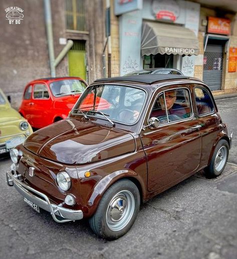 Volkswagen Vintage, Fiat 500 Vintage, Volkswagen Camper Van, Volkswagen Van, Fiat 500l, Fiat Cars, Tiny Cars, Volkswagen Camper, Fiat 600