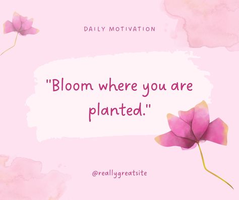 Pink Flower Quote Facebook Post. #quote #bloom #planted #beautiful #facebook #post Welcome Post Facebook Page, Flower Quote, Welcome Post, Facebook Post Template, Post Facebook, Quote Template, Bloom Where You Are Planted, Pink Garden, Facebook Post