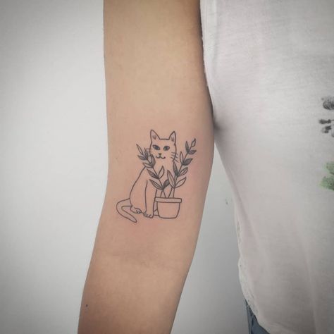 Plant And Cat Tattoo, Cat With Plants Tattoo, Cats And Plants Tattoo, Plant Cat Tattoo, Cat And Plant Tattoo, Cat Plant Tattoo, Dr Tattoo, Minimal Tattoo Designs, Minimal Tattoo Ideas