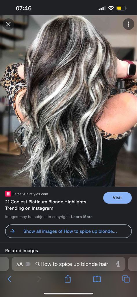 Dark Brown And Platinum Highlights, Dark Brown Hair With Bleach Highlights, Dark Brown With Icy Blonde Highlights, Platinum Blonde Hair With Black Peekaboo, Platinum Lowlights On Dark Hair, Money Piece Grey Hair, Brown Hair With Ice Blonde Highlights, Brown And Blonde Dimensional Hair, Icy Grey Blonde Hair Dark Roots