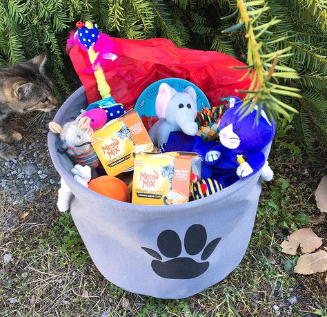 Doggie Gift Basket Ideas, Cat Raffle Basket Ideas, Cat Gift Basket Ideas, Puppy Gift Basket, Cat Gift Basket, Pet Gift Basket, Pet Gift Ideas, Toy Gift Basket, Whelping Puppies