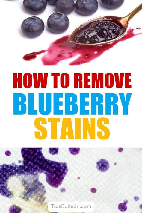 Find out how to remove blueberry stains from clothes, upholstery, and carpet. Learn how to get blueberry stains out of delicate clothes with a simple homemade cleaner recipe using white vinegar, rubbing alcohol. With tips to get carpets clean again. #stains #remove #blueberry #cleaner #carpet Clean Baking Pans, Cleaning Painted Walls, Cleaner Recipes, Glass Cooktop, Vinegar Cleaning, Deep Cleaning Tips, Baking Soda Uses, Architecture 3d, Cleaners Homemade