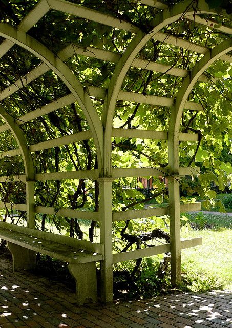 collected this pic when working on my grape archway project. purdy but a few challenges with this set-up; not great for picking, you see more of the arch structure than the grapes and all the leaves. excellent wood arches nonetheless. Old Sturbridge Village, Sturbridge, Massachusetts. mmm, nice. Grape Arbors, Old Barn Wood Projects, Homestead Homes, Grape Vines Trellis, Wood Arches, How To Grow Grapes, Sturbridge Massachusetts, Grape Trellis Ideas, Vines Trellis