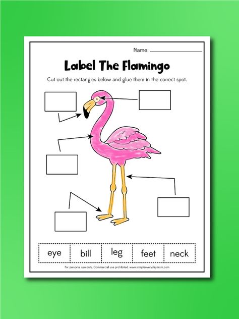 Flamingo Worksheets For Kids [Free Printable] Flamingo Preschool Activities, Flamingo Activities, Flamingo Printables, Flamingo Crafts, Flamingo Facts, Worksheets For Toddlers, Shark Activities, Kindergarten Spring, Flamingo Craft