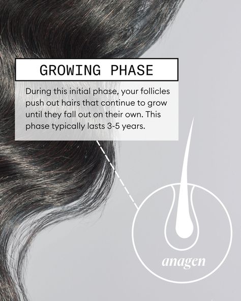 👀 Get a look into the hair growth cycle. Swipe to learn more about the 4️⃣ cycles your hair goes through. Hair Growth Cycle Diagram, Hair Cycle, Hair Science, Hair Growth Cycle, Hair Growth, The 4, To Learn, Sustainability, Hair Care