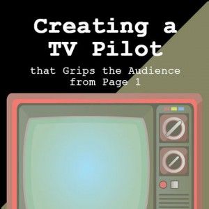 Heather Hale challenges screenwriters to raise the bar and learn all they can about writing a TV series. Pov Writing, Raise The Bar, One Pilots, A Tv, Be True To Yourself, Screenwriting, Big Bang Theory, Breaking Bad, Life Experiences