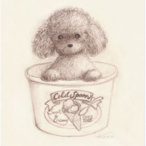 Toy Poodle Puppy Postcard Toy Poodle Drawing Easy, Toy Poodle Drawing, Toys Drawing, Poodle Moth, Bichon Poodle, Poodle Drawing, Drawing Dogs, Dogs Toys, Toy Poodle Puppy