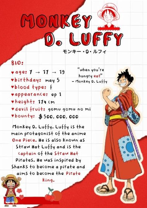 One Piece Anime Bio Ideas, One Piece Anime Journal, One Piece Journal, Luffy Poster, One Piece Theme, One Piece Aesthetic, One Piece Movies, Anime Journal, One Piece Cartoon