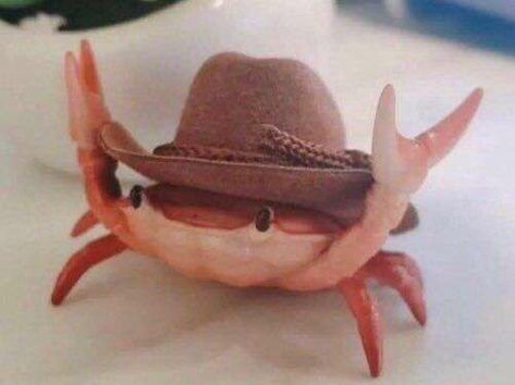 Crab, Cowboy, Sunglasses