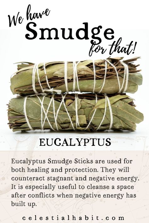 Eucalyptus Smudge Stick, Types Of Smudge Sticks, Diy Sage Smudge Sticks, Pine Smudge Sticks, Eucalyptus Smudge, Smudge Sticks Diy, Stick House, Cleansing Stick, Smudging Prayer