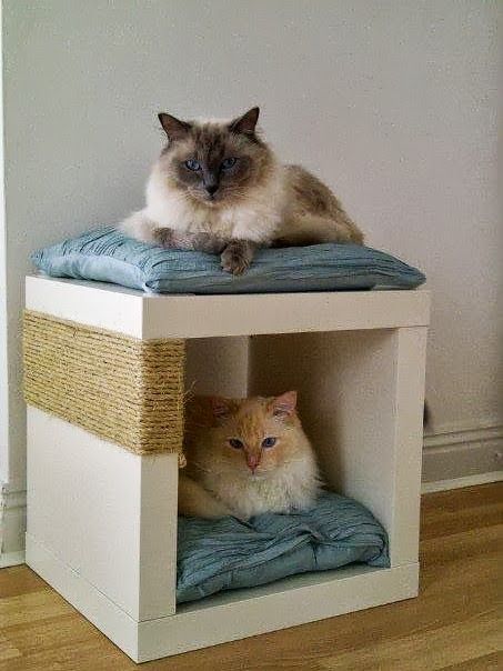 Pet Friendly Decorating • Ideas & great tutorials! Cat Cubby, Cubby Diy, Katt Diy, Katt Grejer, Chat Diy, Kat Diy, Cubby Hole, Cat Hacks, Two Cats