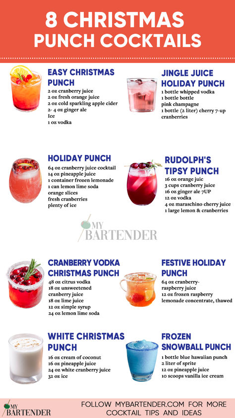 Christmas Punch Cocktails Christmas Party Food And Drinks, Christmas Drinks Alcohol Simple, Christmas Morning Punch With Vodka, Christmas Party Food And Drink Ideas, Fun Christmas Alcoholic Drinks, Christmas Mix Drinks, Christmas Drinks Recipes Nonalcoholic, New Year Alcoholic Drinks, Christmas Drink Recipes Alcoholic Holiday Punch