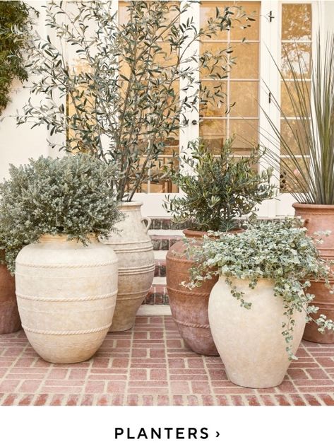 Planter Display Ideas, Outdoor Tree In Pot, Front Door Large Planters, Rural Front Yard Landscaping Ideas, Best Plants For Patio Pots, Tall Pots With Plants Outdoor, Large Patio Planter Ideas, Potted Plants Front Yard, Large Pots In Front Of House