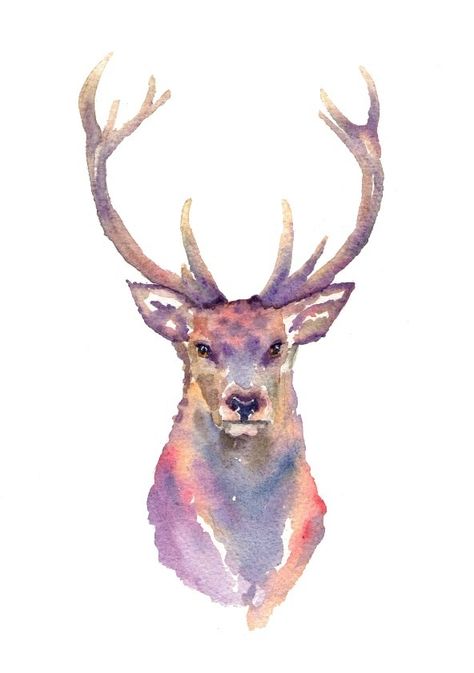 Stag Drawing, Deer Drawings, Reindeer Tattoo, Watercolour Deer, White Textured Art, Elk Art, Deer Head Tattoo, Stag Art, Stag Tattoo