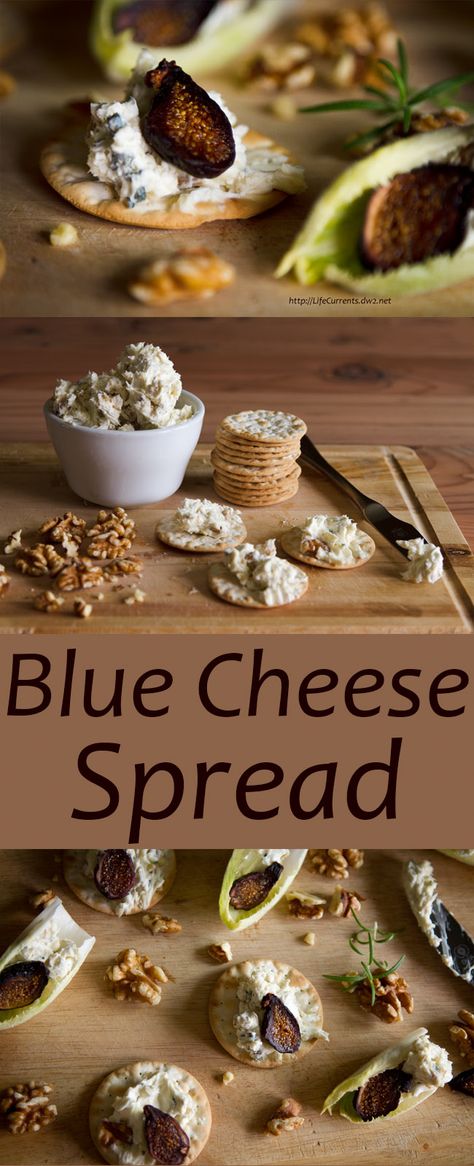 Blue Cheese Spread - delicious appetizer - Life Currents Blue Cheese Snack Ideas, Whipped Blue Cheese, Blue Cheese Spread, Cheese Spread Recipes, Blue Cheese Recipes, Cheese Spreads, Snack Easy, Blue Cheese Dip, Easy To Make Appetizers