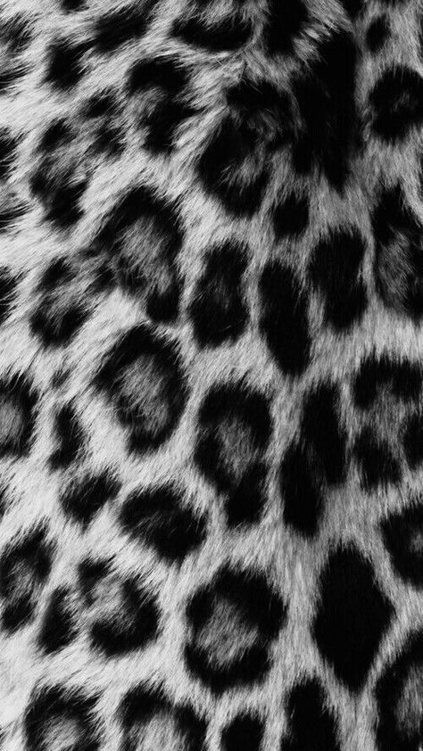 Print Pattern, Animal Print, Rug, Black And White, Iphone, For Sale, Pattern, Pins, Black