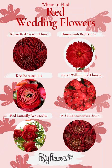 Are you having a red wedding theme? Or perhaps you are looking to incorporate red wedding flowers into your DIY wedding centerpieces? We listed some of the most popular, affordable, wholesale red wedding flowers to use in your DIY bridal bouquet or any of your DIY wedding decor. Red is a perfect fall or winter wedding color and these flowers will look great as fall wedding flowers. Red pairs well with green, blush pink, dark greens, white, and navy blue wedding color palettes and schemes. White And Navy Blue Wedding, Wedding Motif Color, Wedding Centerpieces Diy Red, Wedding Decor Red, Types Of Red, Flower Chart, Weddings Idea, Diy Bridal Bouquet, Red Wedding Theme