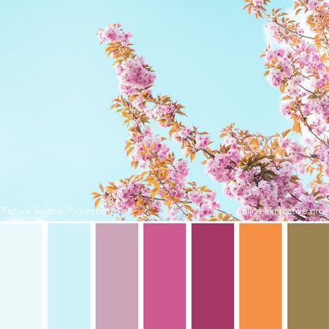 Colors of Spring: 20 Spring Color Palettes for Inspiration — Mill Creek Creative Creativity Journal, Color Palette Spring, Heirloom Carrots, Palette Spring, Bright Paint Colors, Paint Color Combos, Spring Tones, Spring Palette, Spring Color Palette