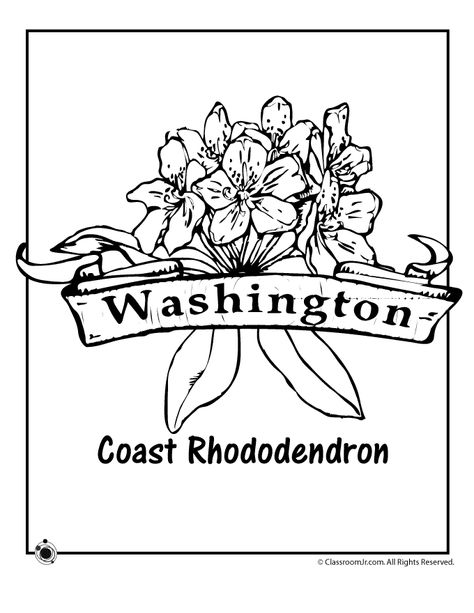 Washington State Flower Coloring Page | Woo! Jr. Kids Activities Rhododendron Drawing, Coast Rhododendron, Washington State Flower, Washington State Flag, State Flowers, Flag Coloring Pages, State Symbols, Abstract Coloring Pages, Coloring Pages Inspirational