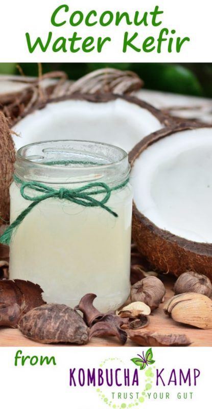 Coconut Water Kefir is an easy, healthful alternative for those with serious sugar issues or anyone who wants to make a delicious beverage at home! Kefir Recipes, Healthy Nutrition Plan, Kefir Grains, Water Kefir, Proper Nutrition, Fermented Foods, Healthy Nutrition, Kefir, Kombucha