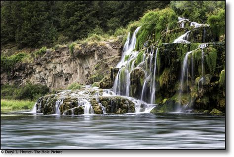 Swan Valley Idaho, Fall Creek, Fly Fishing Flies Trout, Tourist Information, The Snake, Fly Fishing, Idaho, Trip Planning, Photo Ideas