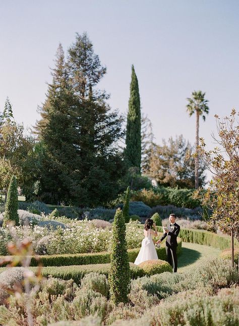 Park Winters Wedding, Countryside Garden, Dreamy Photos, Romantic Garden Wedding, Woodland Park, Park Rosé, Romantic Mood, May Weddings, Wedding Idea