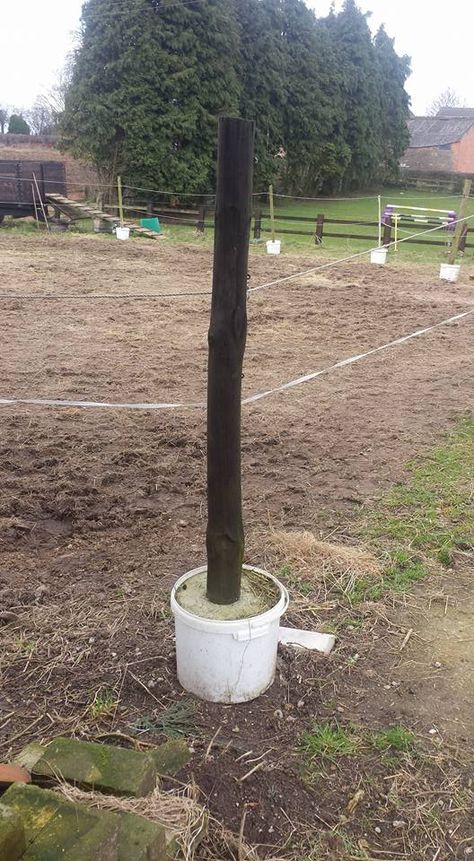 Temporary Horse Fence, Sheep Fence Ideas, Horse Fence Ideas Cheap, Garden Fencing Ideas, Temporary Fencing, Horse Farm Ideas, Paddock Paradise, Fence Planters, Horse Fencing