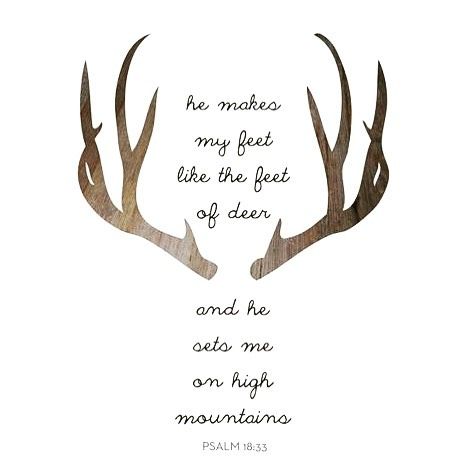 Antlers, Bible Verse, Deer, Bible, For Men, Quotes, Art