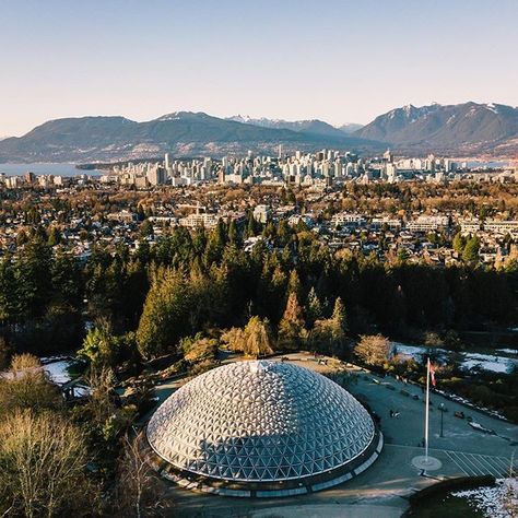 Queen Elizabeth Park Vancouver, Queen Elizabeth Park, Have A Great Thursday, Vancouver City, Vancouver British Columbia, Winter Sun, Poster Designs, Cool Landscapes, Vancouver Bc