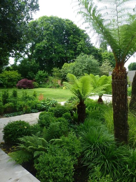 Fern Garden, Garden Tropical, Ferns Garden, Barn House Design, Tree Fern, Lawn And Landscape, Home Landscaping, Shade Trees, Top Soil